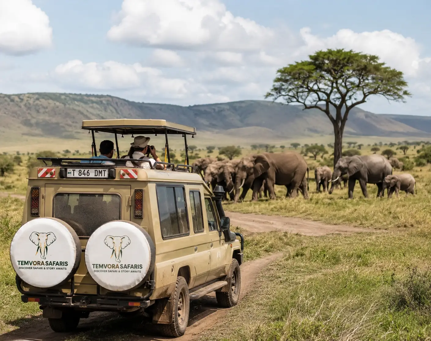 Professional safari guide with guests watching elephants in Tanzania