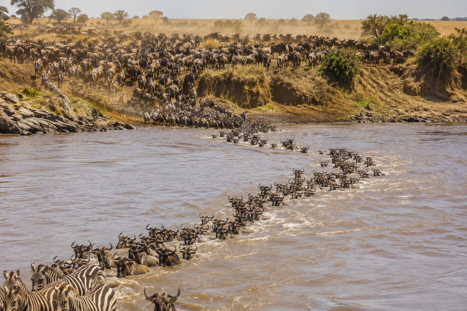 Featured Safari Experience